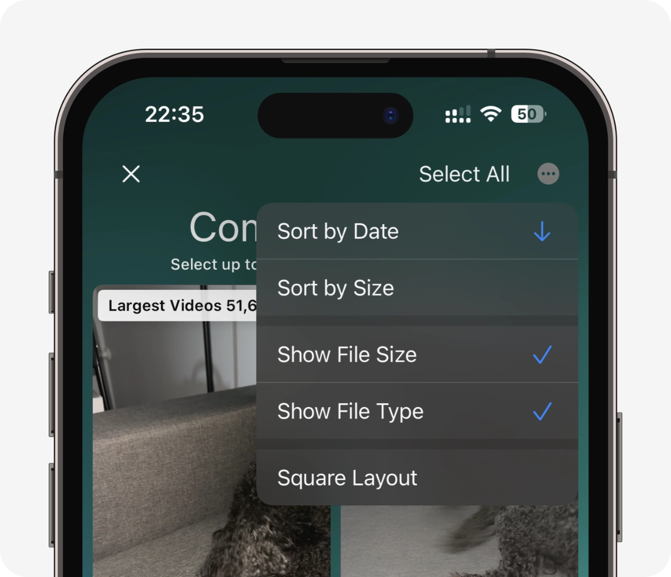 View options