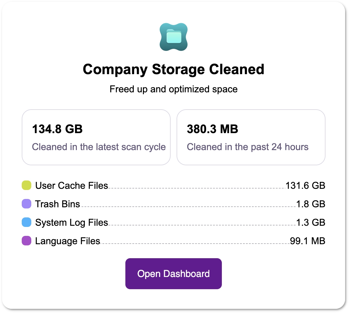 The Company Storage Cleaned section