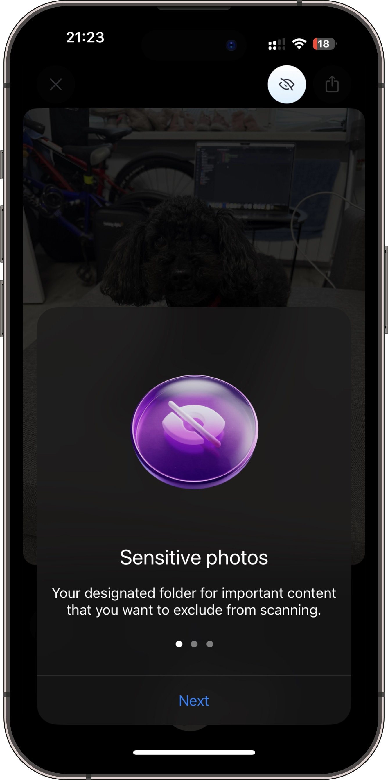 Mark item as sensitive