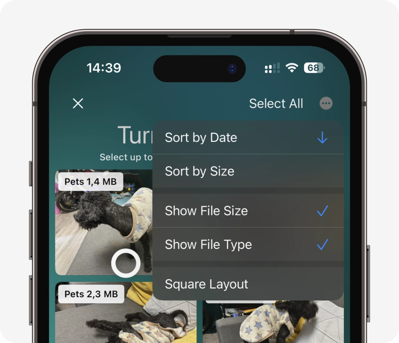 View options