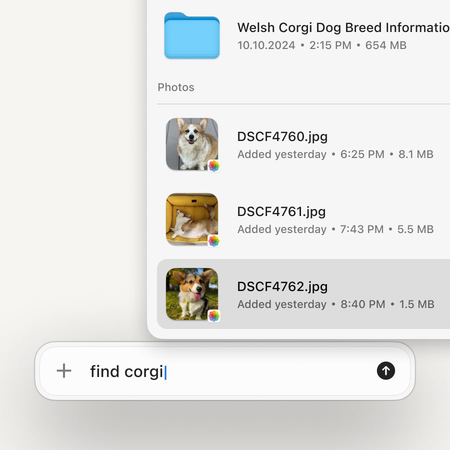 Eney showing images according to your request | AI Assistant for Mac
