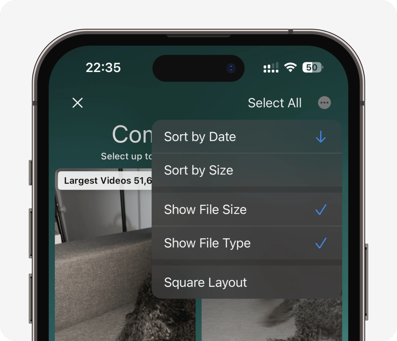 View options