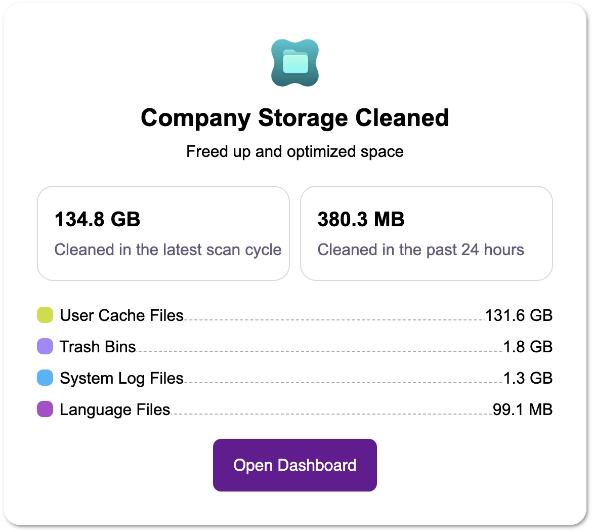 The Company Storage Cleaned section