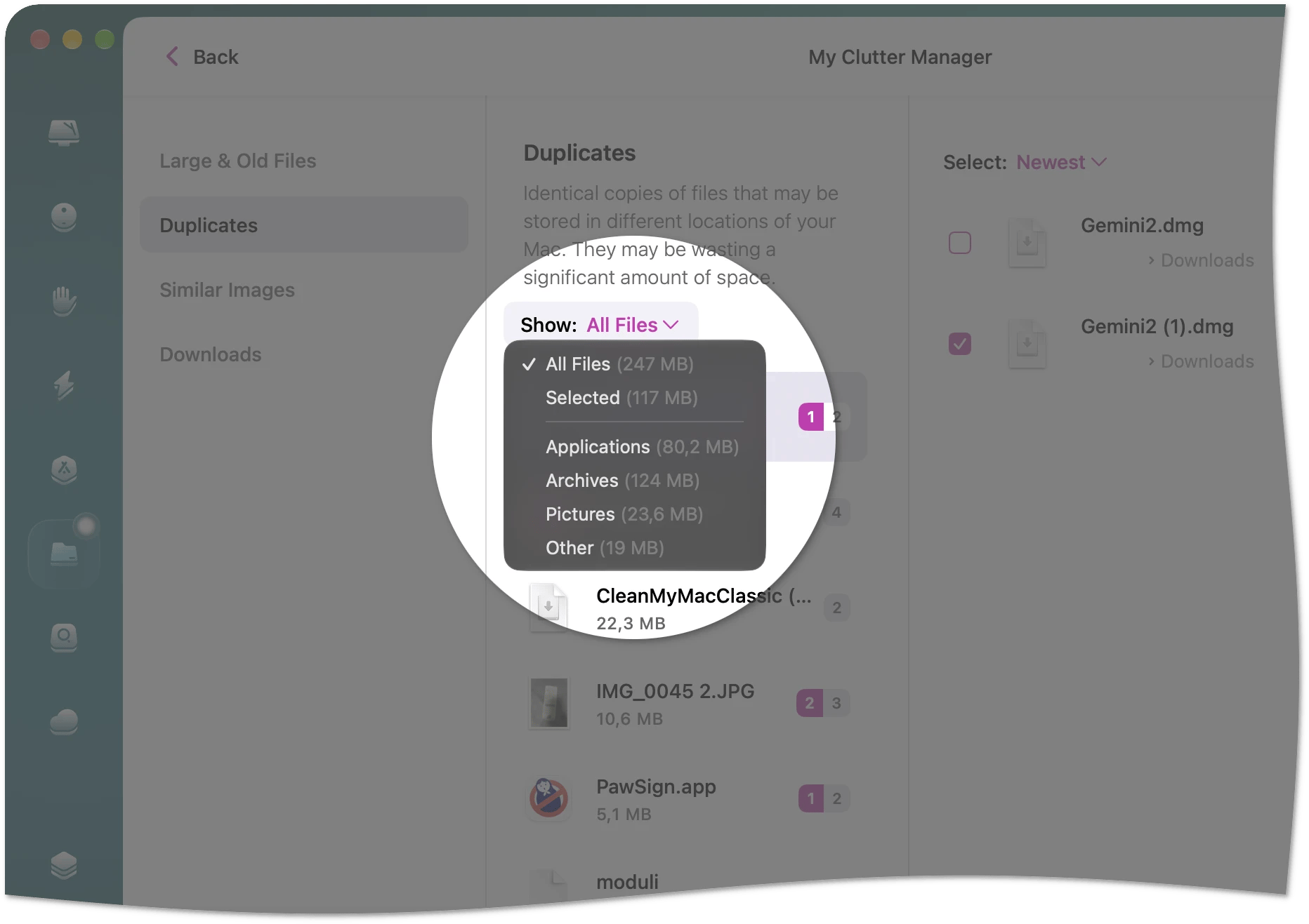 Duplicates view with file type filter