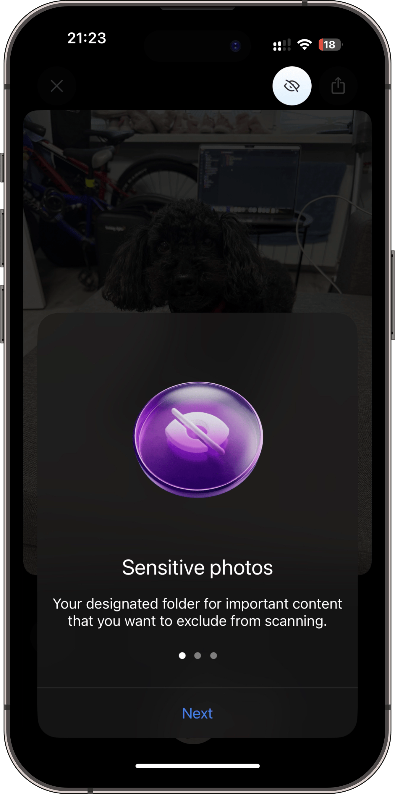 Mark item as sensitive