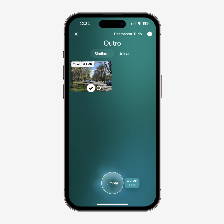 Organize Selected  Pt