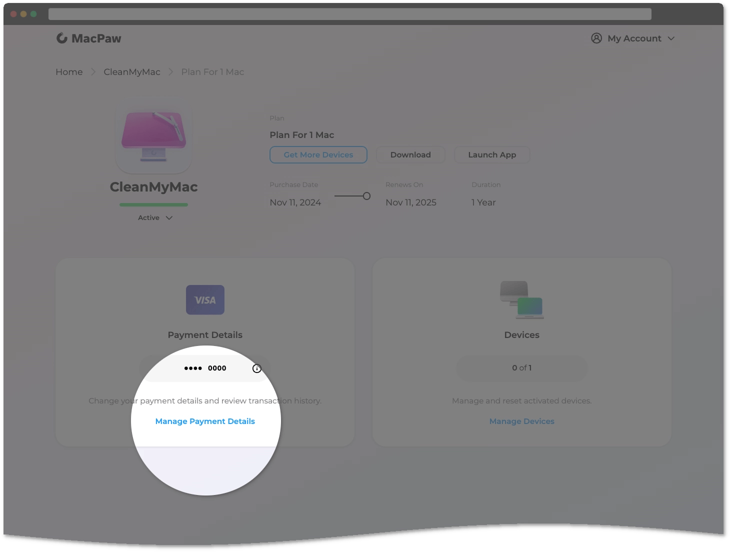 Manage payment details