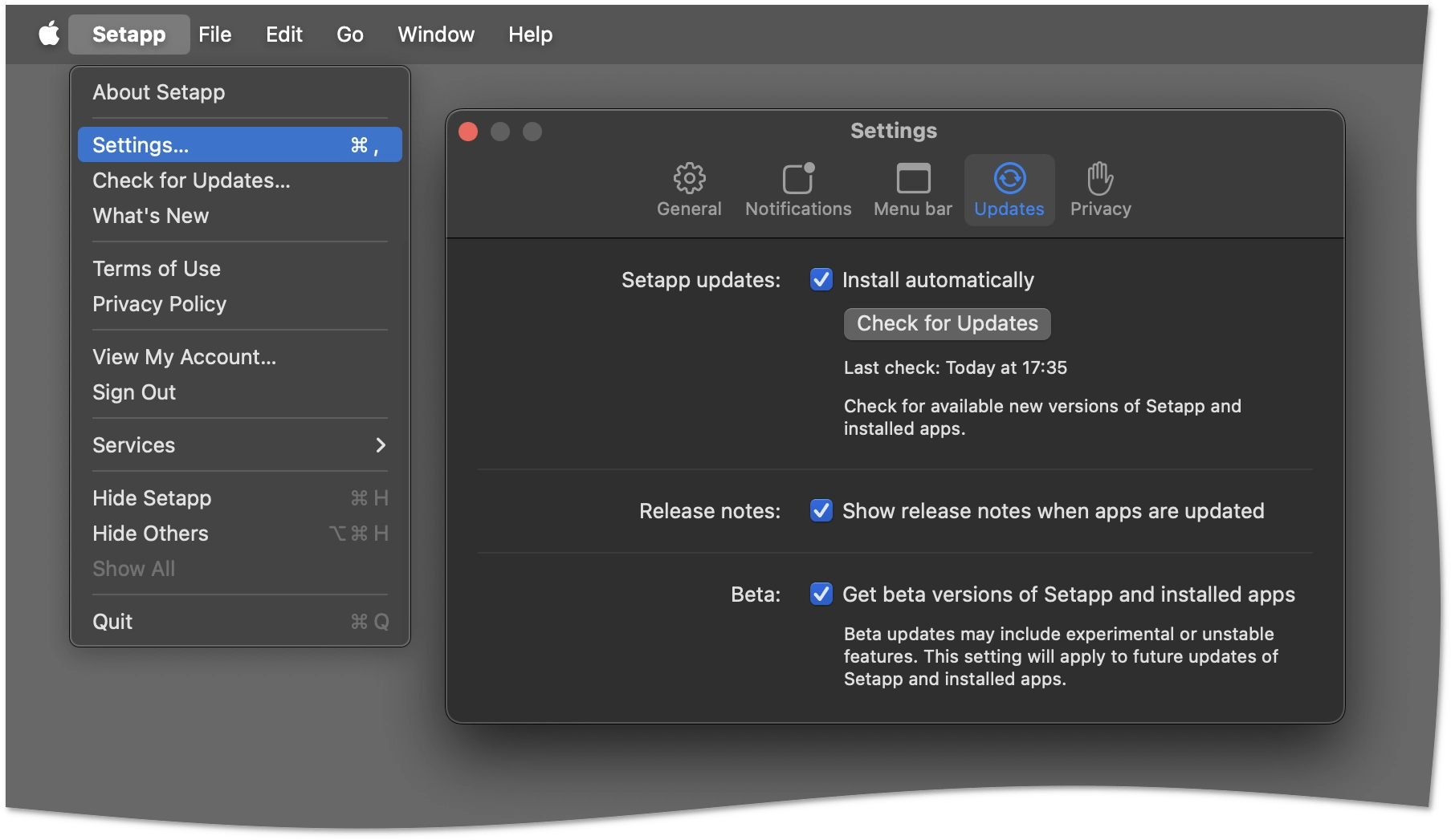 Setapp update settings